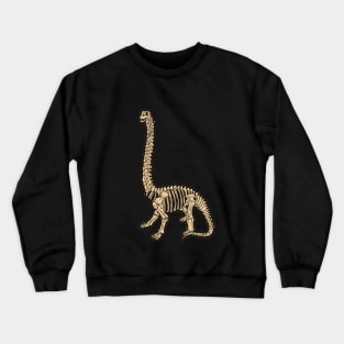 Brontosaurus T-shirt, Braciosaurus Shirt, Large Herbivore Skeleton Tshirt, Vegetarian Dinosaur Bones Tee, Paleontologist, Apatosaurus Crewneck Sweatshirt